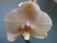 IMG_9109_1.jpg