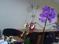 20150306_172607[1].jpg