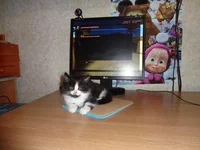 DSC00314.webp