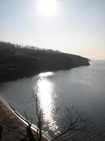  226.webp