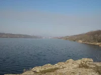  281.webp