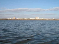  353.webp