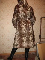 IMG_0251.webp