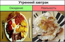 11.webp