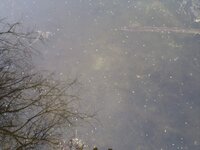 DSC01055.jpg