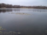 DSC01056.jpg