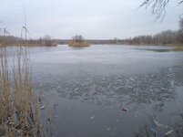 DSC01061.jpg