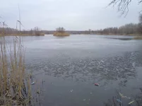 DSC01061.webp