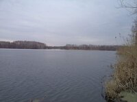 DSC01063.jpg