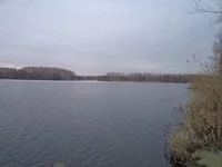 DSC01063.webp