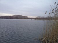 DSC01064.jpg