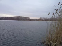 DSC01064.webp
