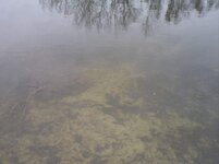 DSC01065.jpg
