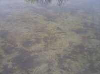 DSC01066.jpg
