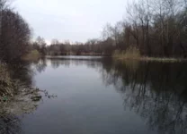 DSC01068.webp