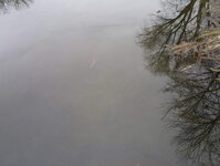DSC01076.jpg