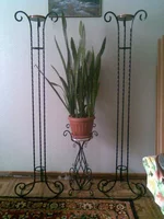 09042010(002)(1).webp