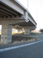  395.webp
