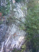 235.webp
