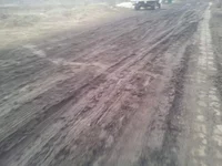 20150314_164833[1].webp