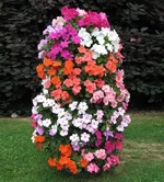 102944284_9.webp