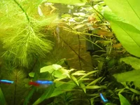 005_6.webp