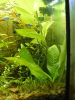 008_6.webp