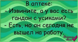 imageCAM6B197.webp