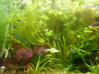 002_7.webp
