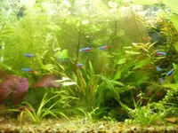 004_7.webp