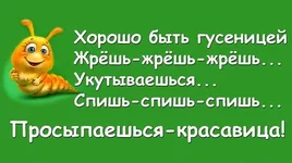 getImageCA7L23Q5.webp