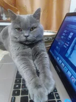 20150221195919.webp