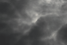 IMG_7031_.gif
