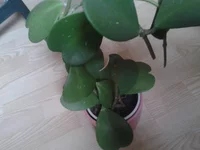 2014-12-25 12.57.54.webp