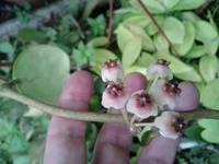 2014-08-18 13.36.56.webp