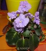 DSC07990_.webp