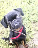 -0676.webp