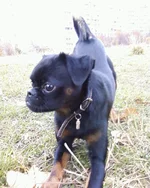 -0742.webp