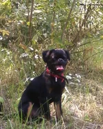 -0715.webp