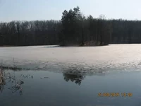 IMG_3644.webp