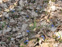 IMG_3646.webp