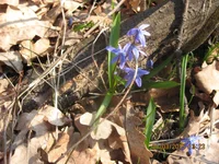 IMG_3647.webp