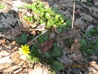 IMG_3688.webp