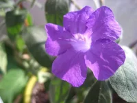 image (3).webp