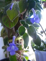image (7).webp