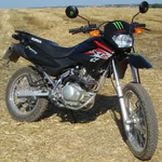 .webp