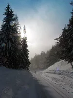 2015_02_10.webp