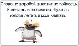 getImageCA591JRR.webp
