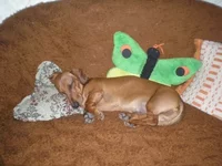  Изображение 062.webp