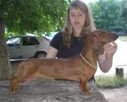  Изображение 019.webp